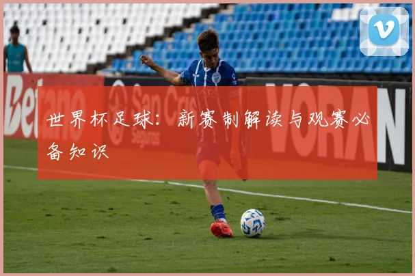 世界杯足球:新赛制解读与观赛必备知识