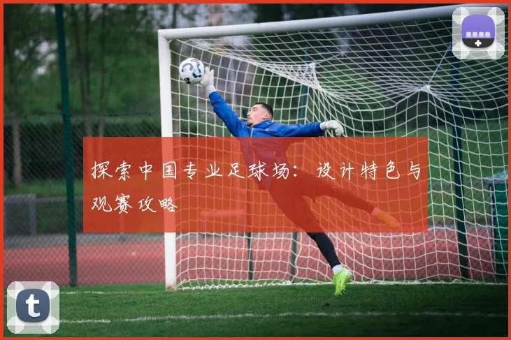 探索中国专业足球场:设计特色与观赛攻略