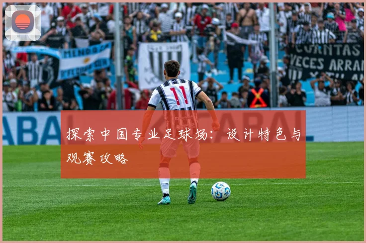探索中国专业足球场:设计特色与观赛攻略